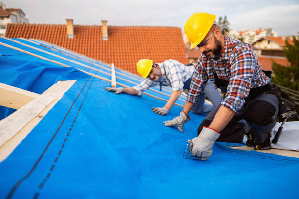 Best Chimney Flashing Repair  in Roundup, MT