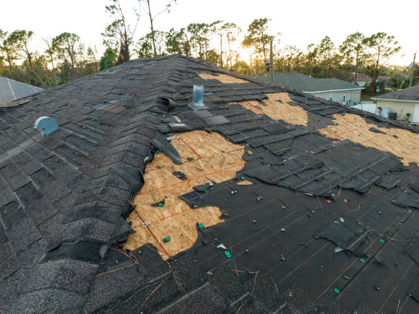 Best Slate Roofing  in Roundup, MT