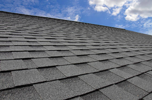 Best Metal Roofing Installation  in Roundup, MT